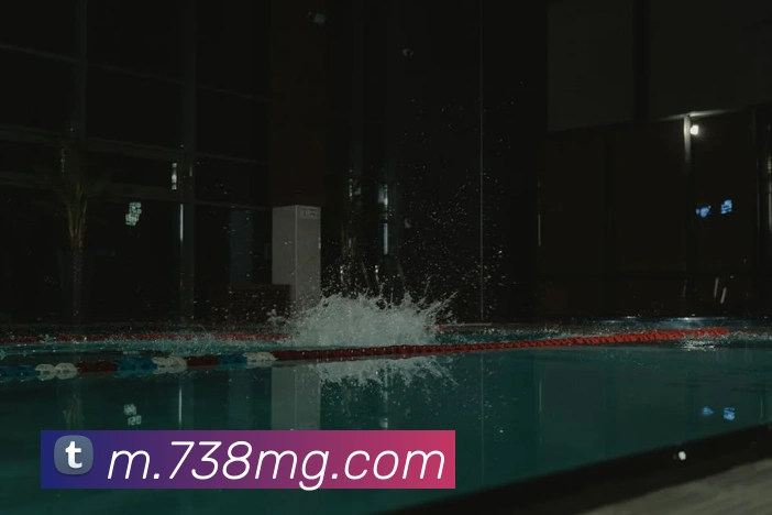 MG娱乐平台官网服务体系